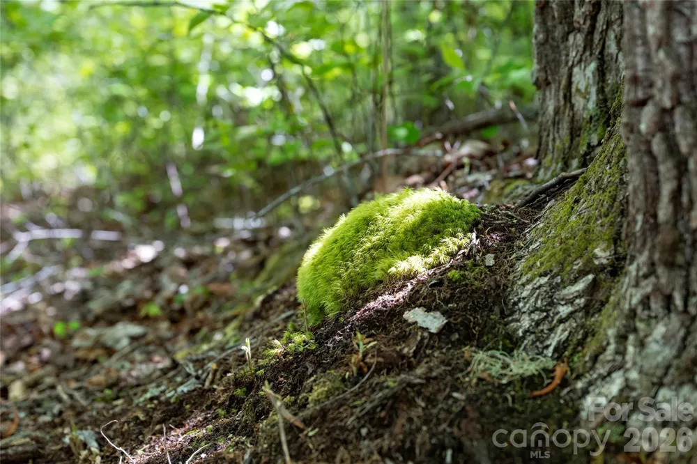 TBD Long Ridge Road Lake Toxaway, NC 28747