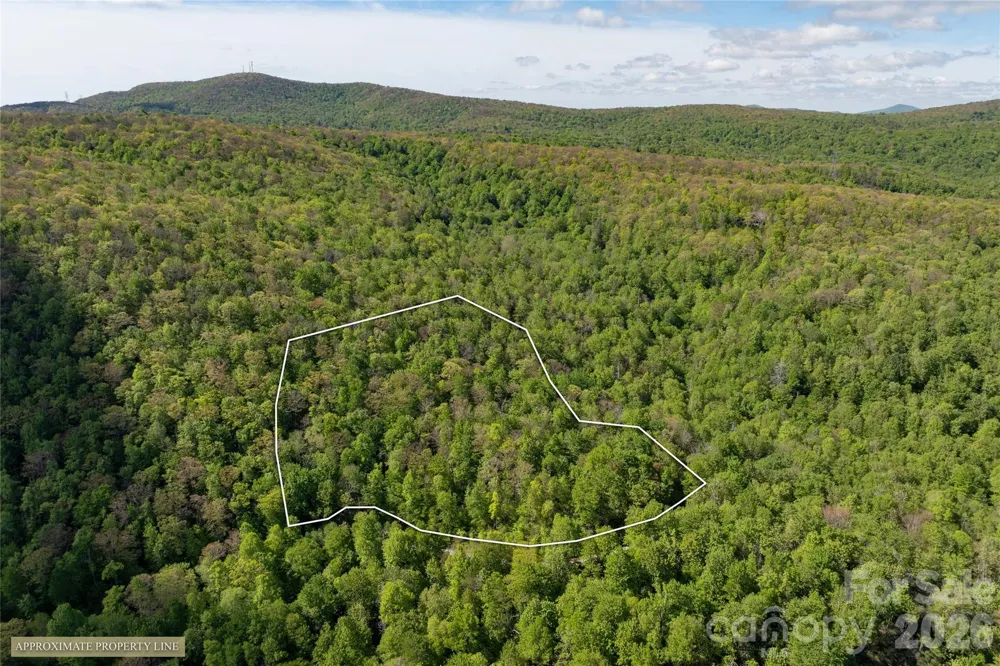 TBD Long Ridge Road Lake Toxaway, NC 28747