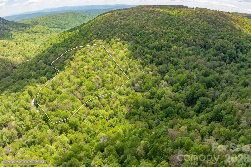 TBD Long Ridge Road Lake Toxaway, NC 28747