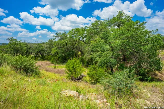 241 OLD NO 9 HWY Comfort, TX 78013