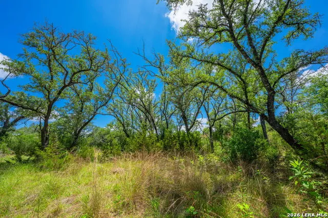 241 OLD NO 9 HWY Comfort, TX 78013