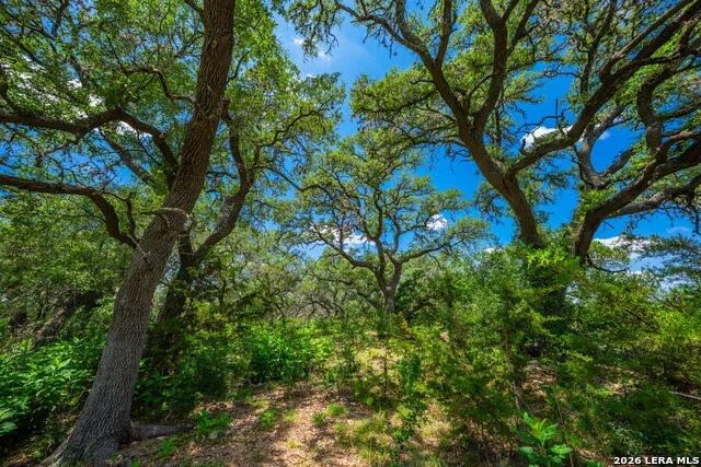 241 OLD NO 9 HWY Comfort, TX 78013
