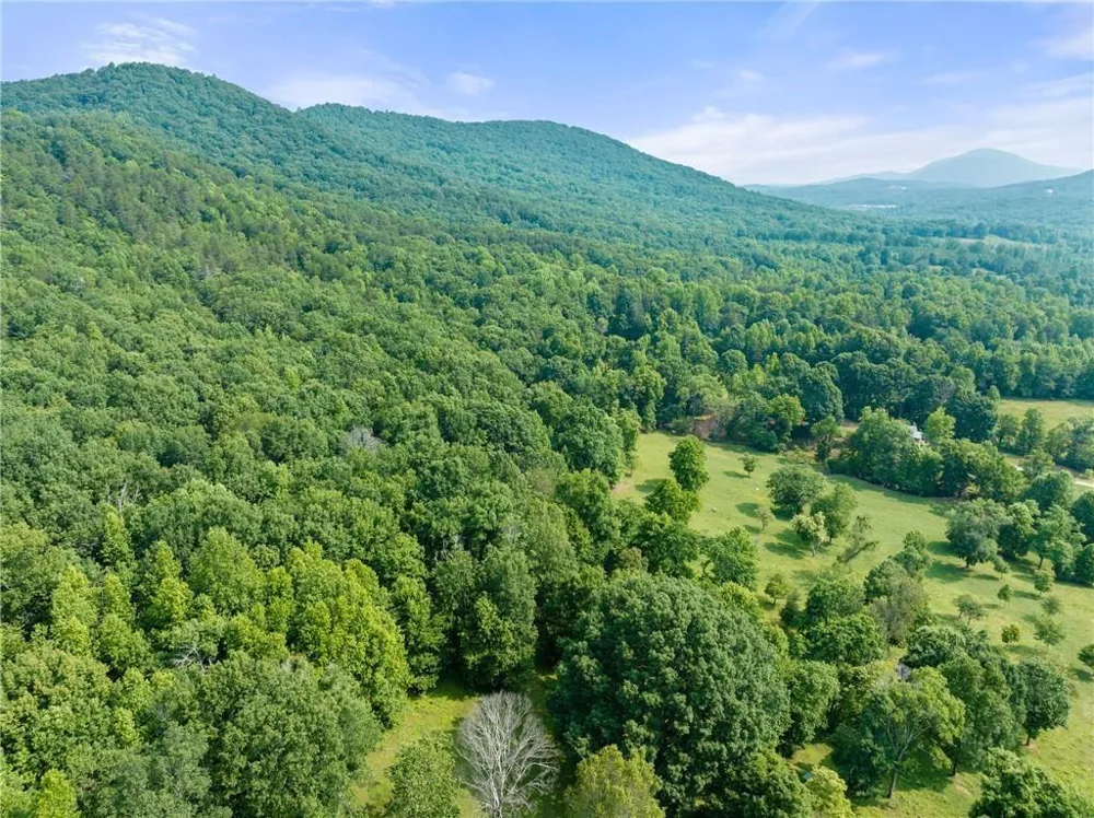 00 Freeman View Trail Cleveland, GA 30528