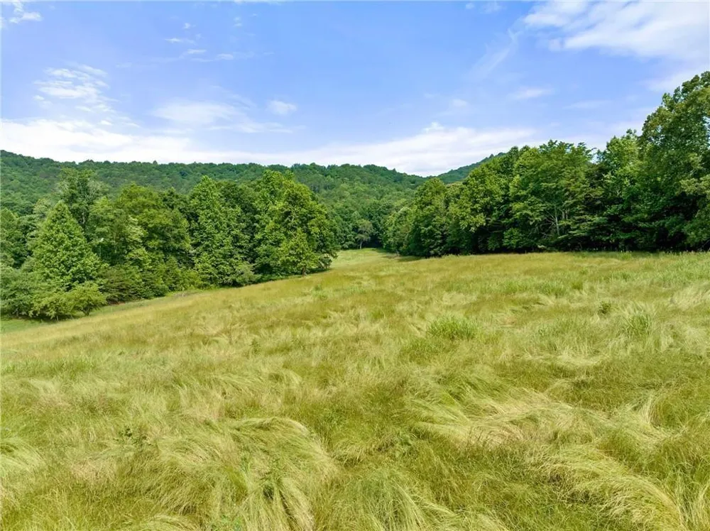 00 Freeman View Trail Cleveland, GA 30528