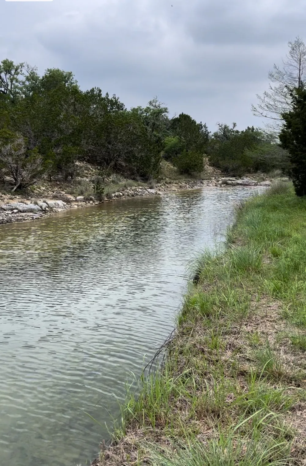 141 Hill Cove Dripping Springs, TX 78620