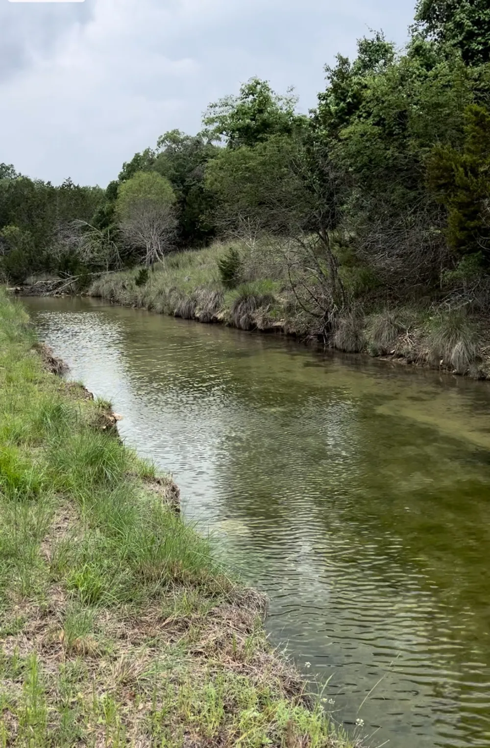 141 Hill Cove Dripping Springs, TX 78620