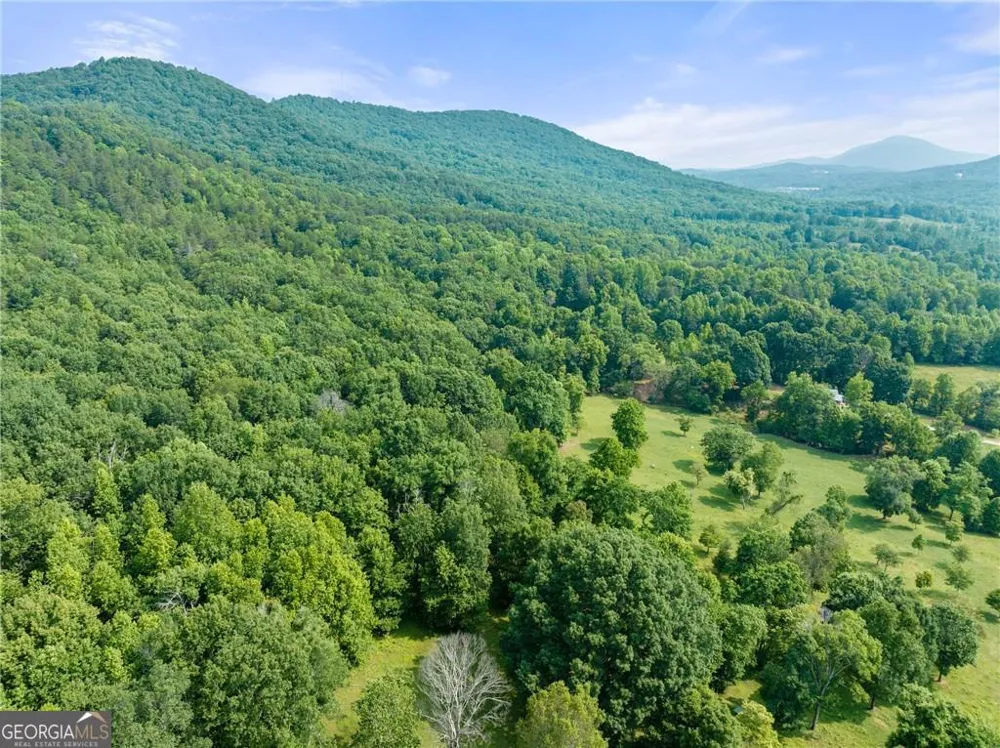 0 Freeman View TRL Cleveland, GA 30528