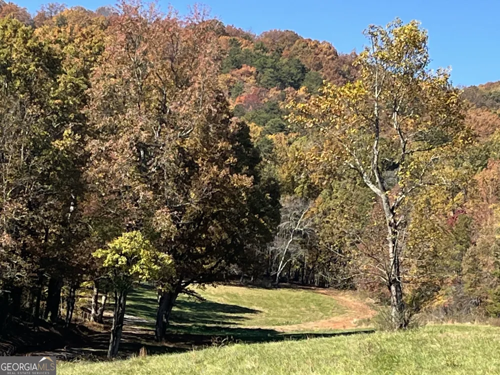 0 Freeman View TRL Cleveland, GA 30528