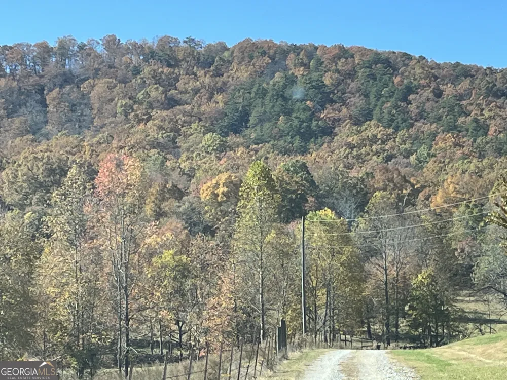 0 Freeman View TRL Cleveland, GA 30528