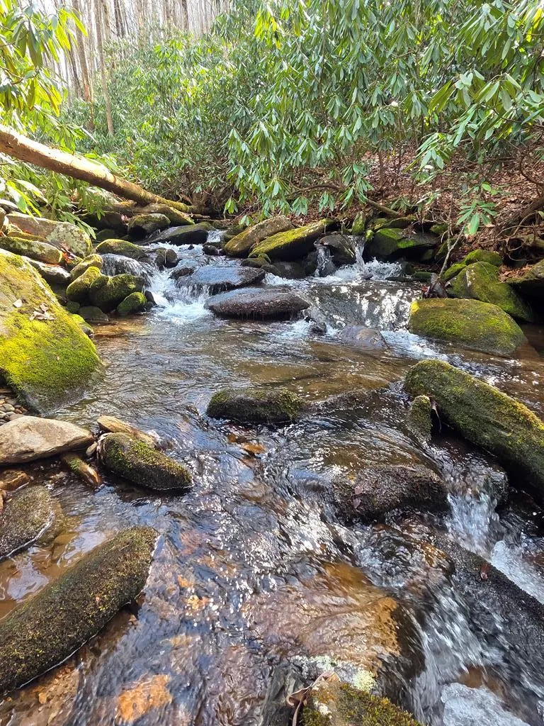 Mill Creek Road Robbinsville, NC 28771