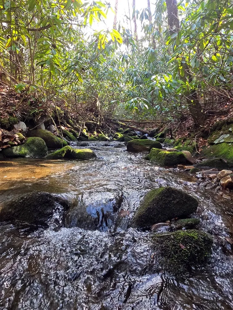 Mill Creek Road Robbinsville, NC 28771