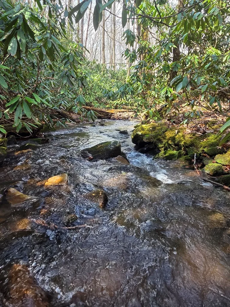 Mill Creek Road Robbinsville, NC 28771