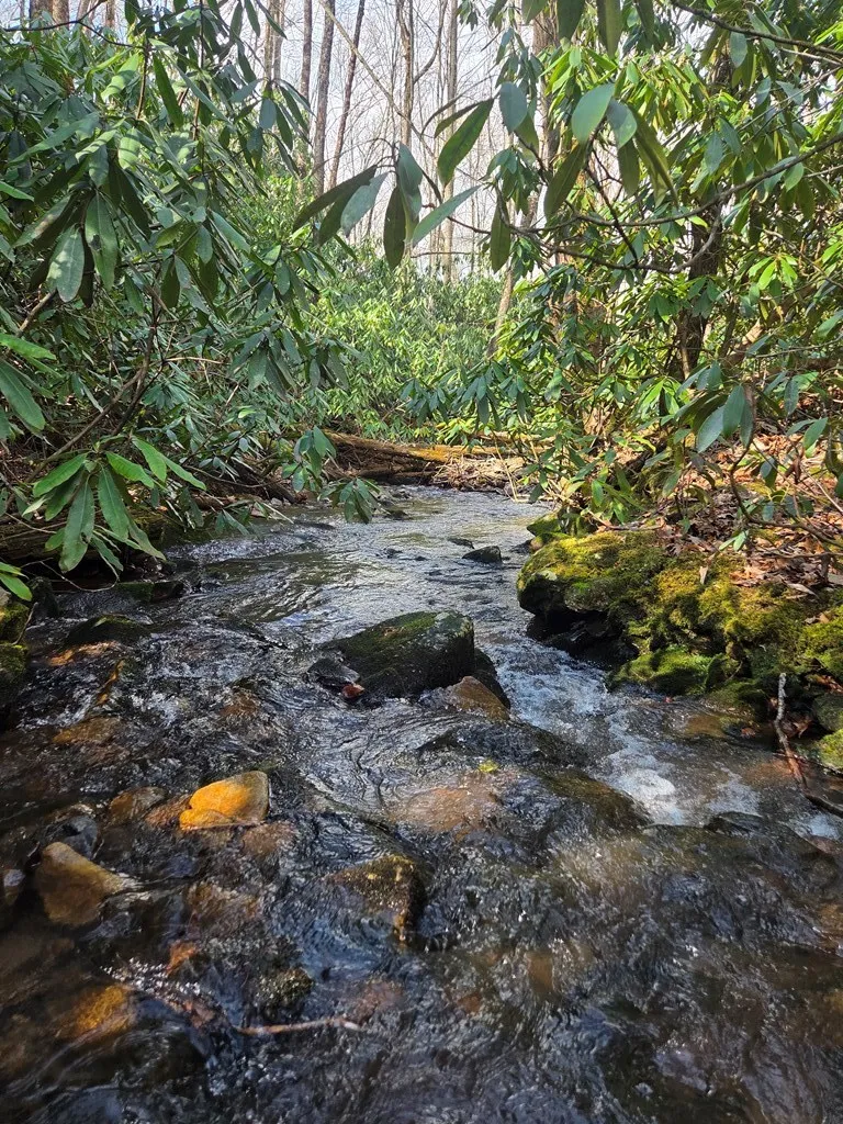Mill Creek Road Robbinsville, NC 28771