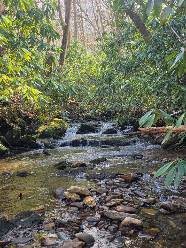 Mill Creek Road Robbinsville, NC 28771