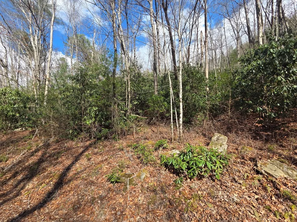 Mill Creek Road Robbinsville, NC 28771
