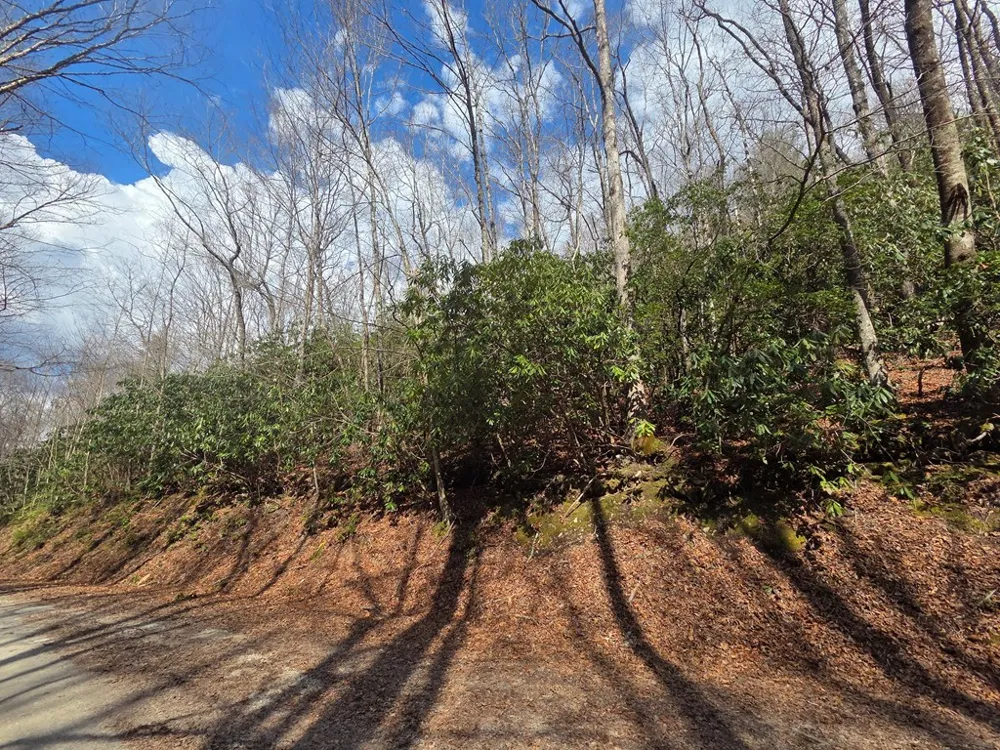 Mill Creek Road Robbinsville, NC 28771