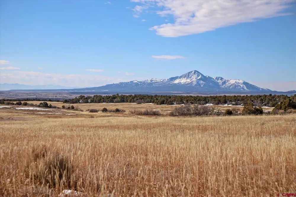Road 25 Dolores, CO 81323