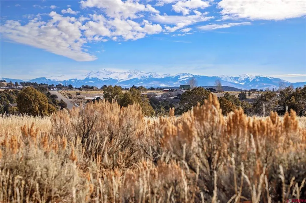 Road 25 Dolores, CO 81323