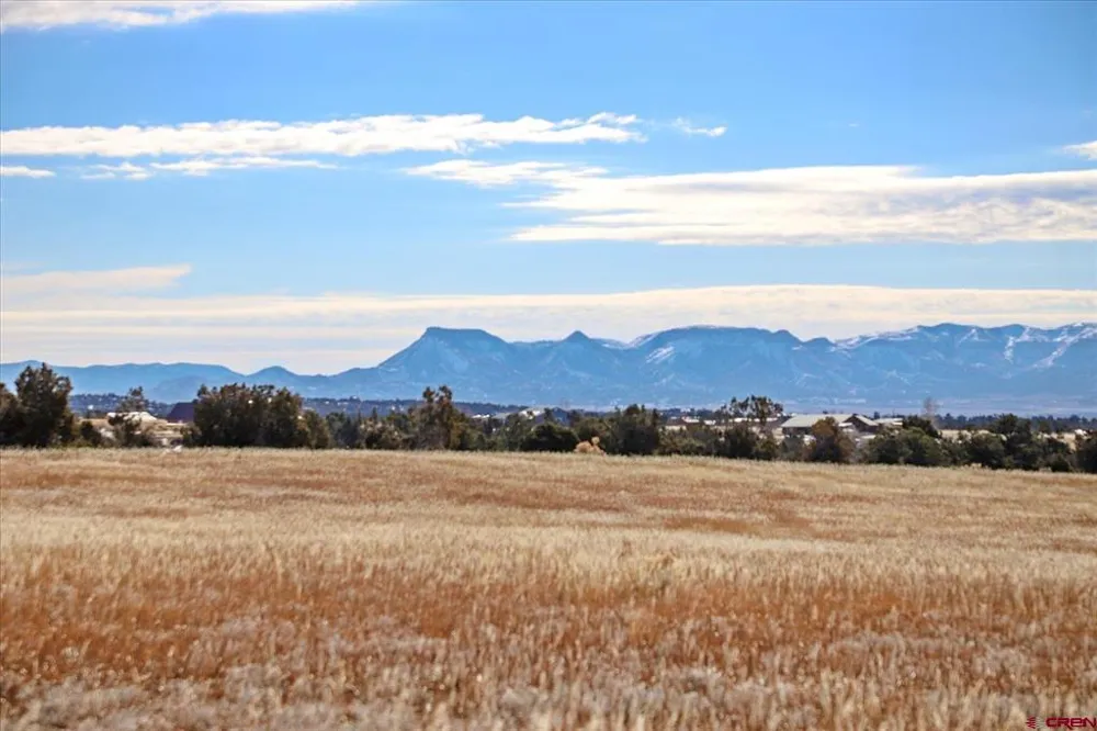 Road 25 Dolores, CO 81323