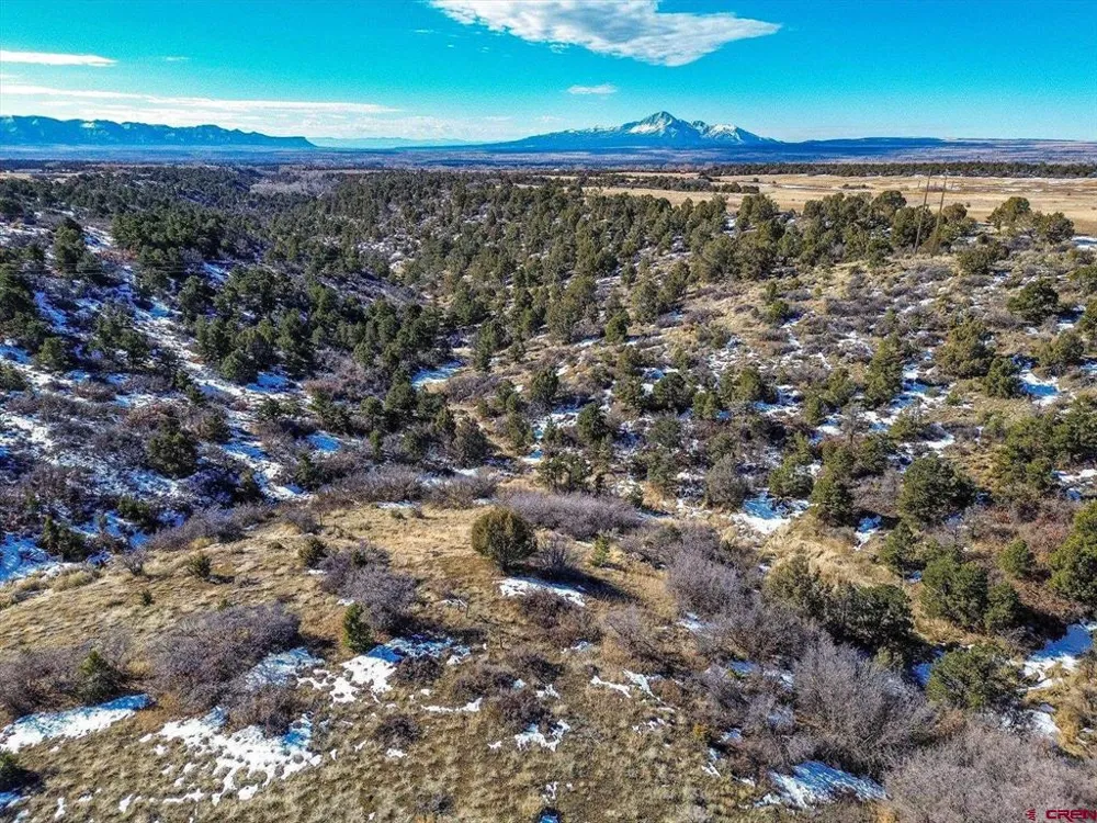 Road 25 Dolores, CO 81323