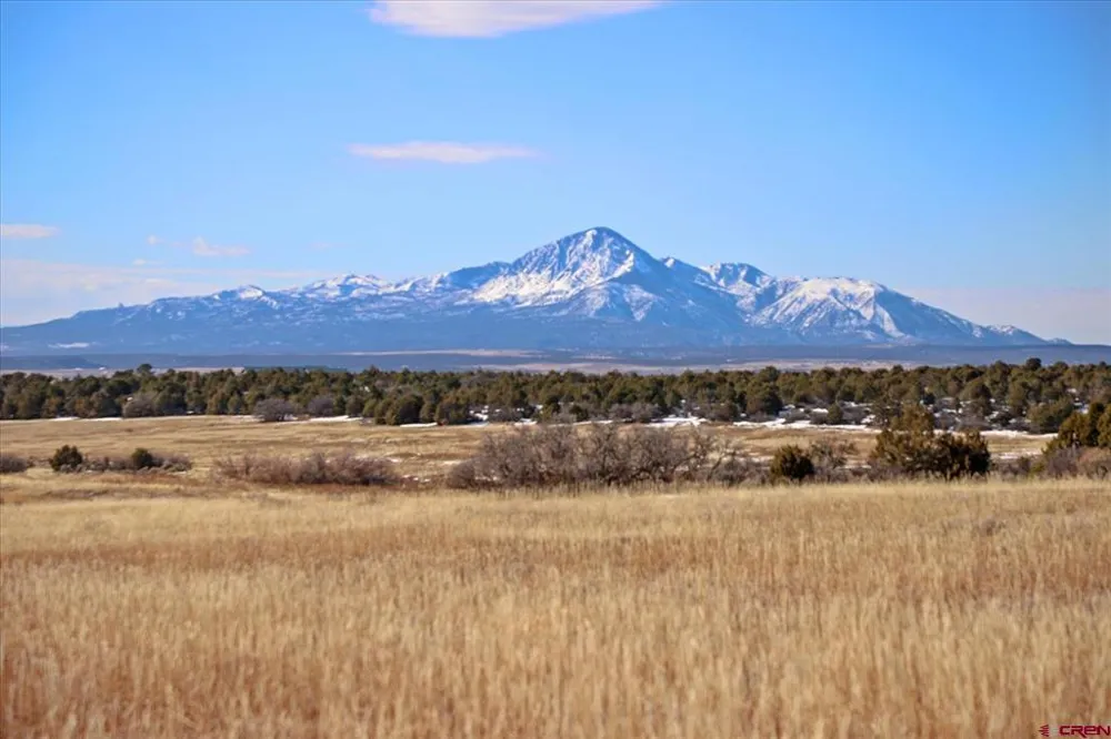 Road 25 Dolores, CO 81323