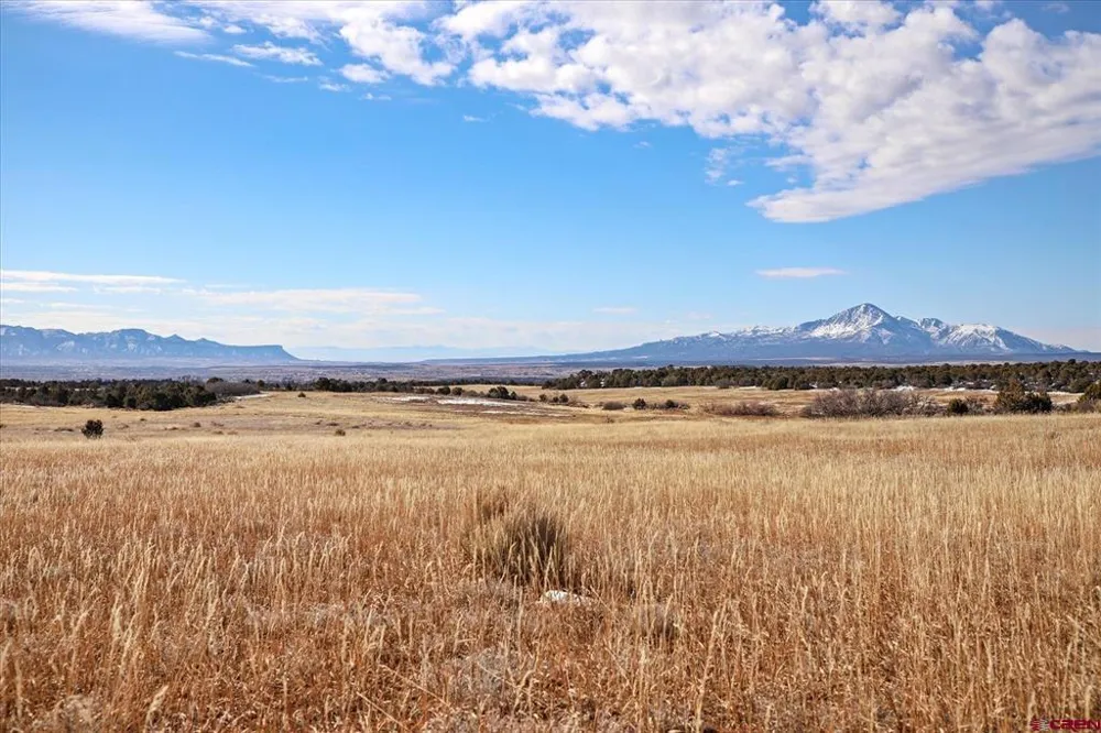 Road 25 Dolores, CO 81323