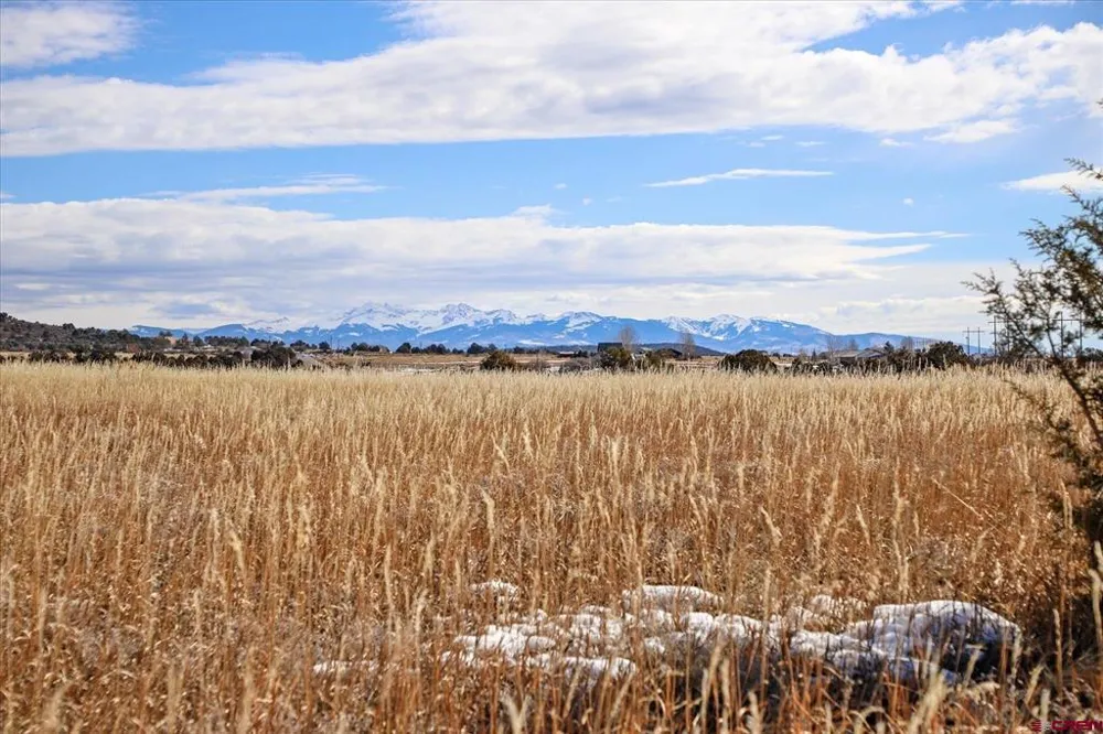 Road 25 Dolores, CO 81323