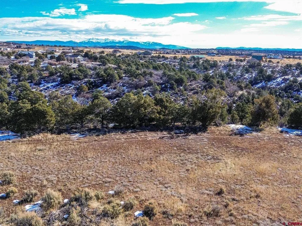 Road 25 Dolores, CO 81323