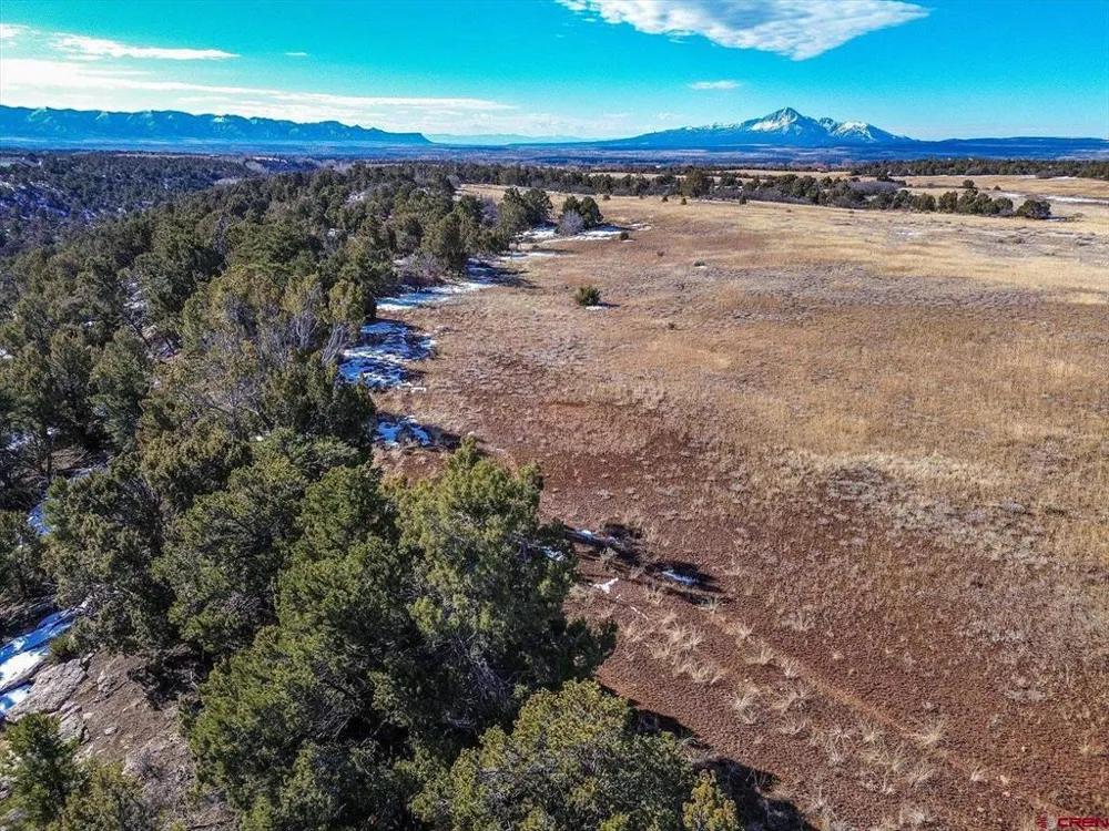 Road 25 Dolores, CO 81323