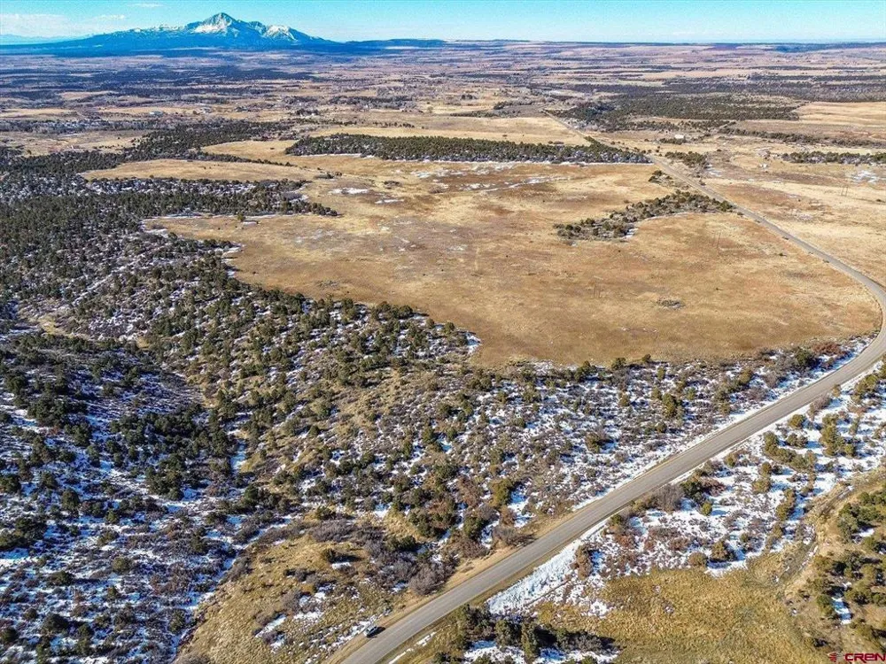 Road 25 Dolores, CO 81323