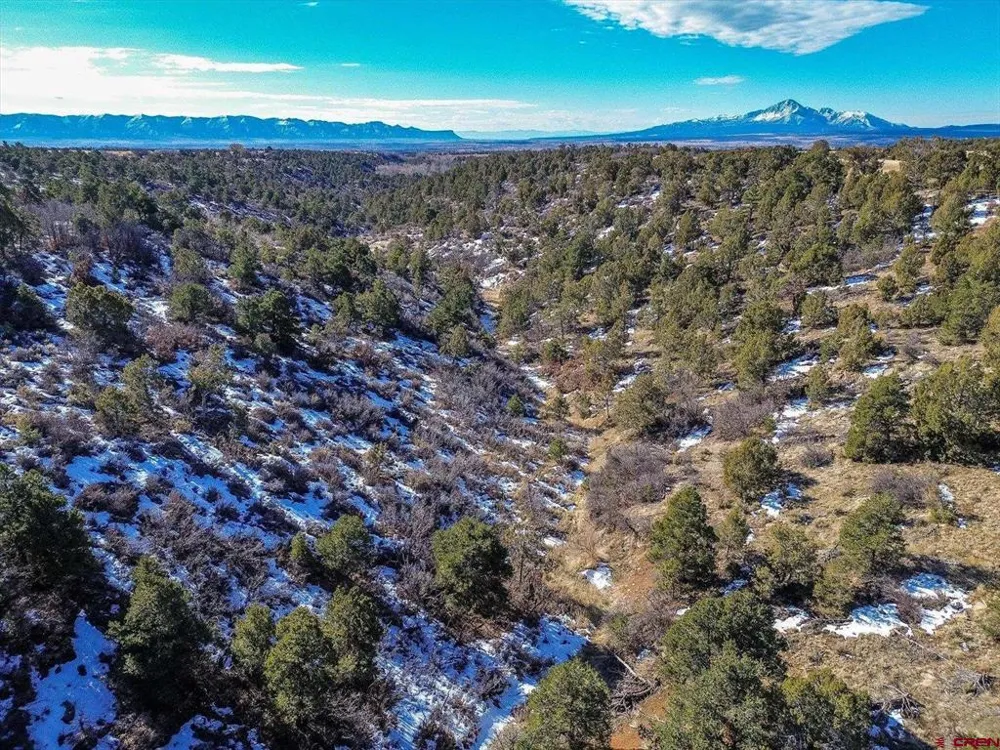 Road 25 Dolores, CO 81323