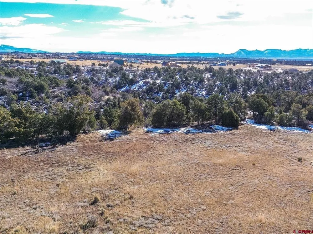 Road 25 Dolores, CO 81323