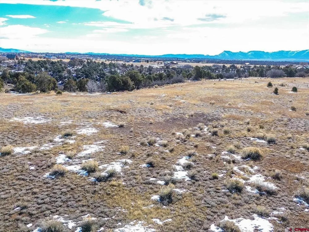Road 25 Dolores, CO 81323