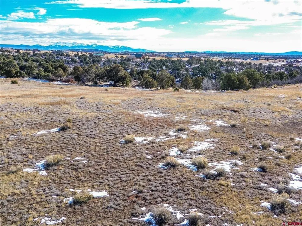 Road 25 Dolores, CO 81323