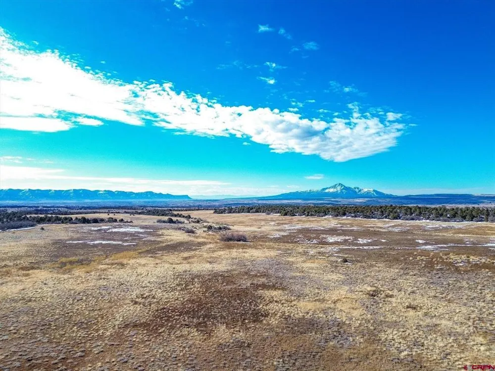 Road 25 Dolores, CO 81323