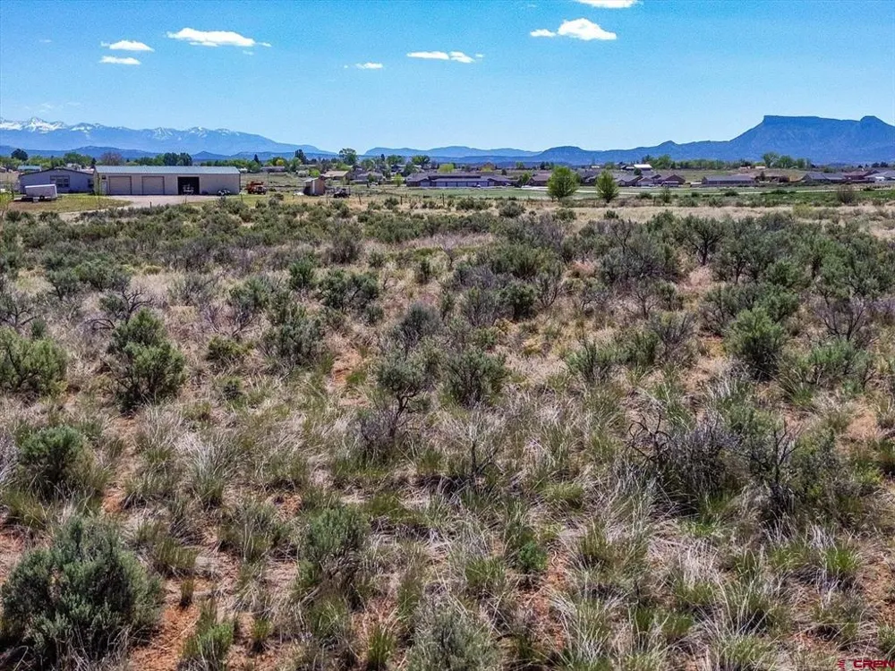 Road 26 Cortez, CO 81321