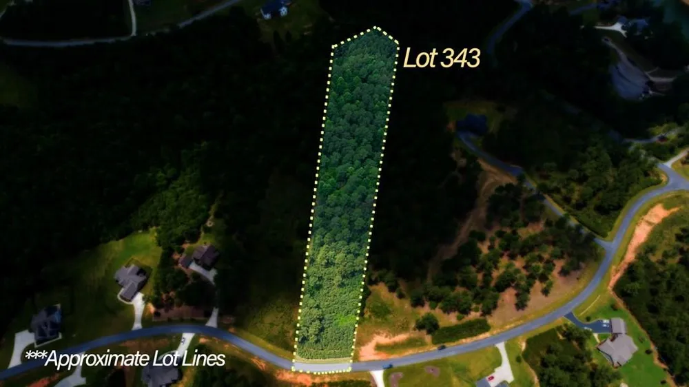 Lot 343 Loop Lane Blairsville, GA 30512