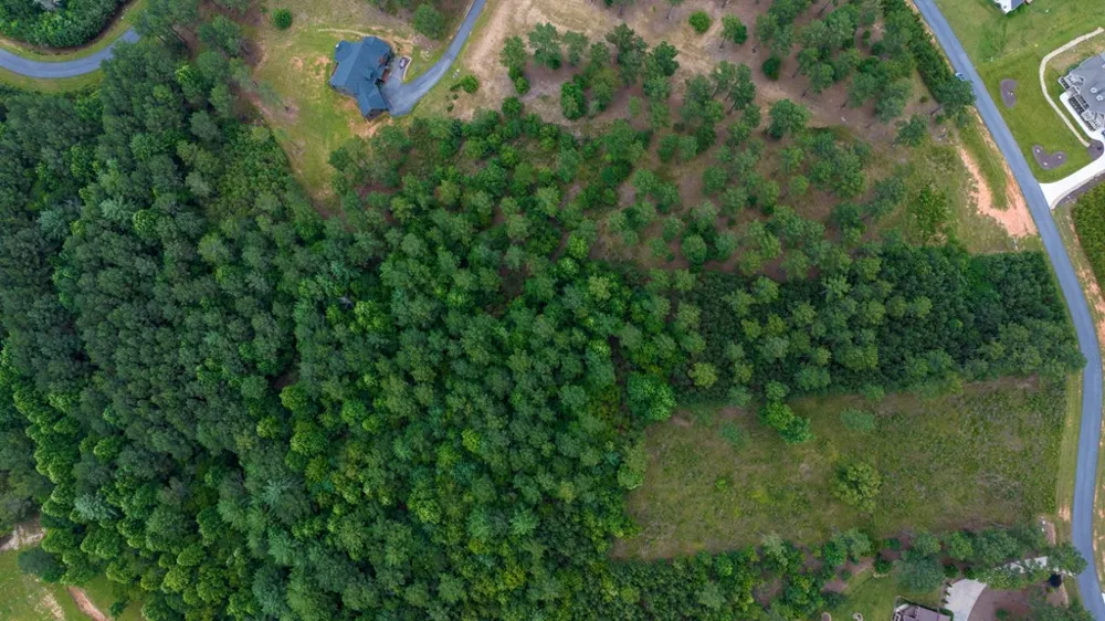 Lot 343 Loop Lane Blairsville, GA 30512