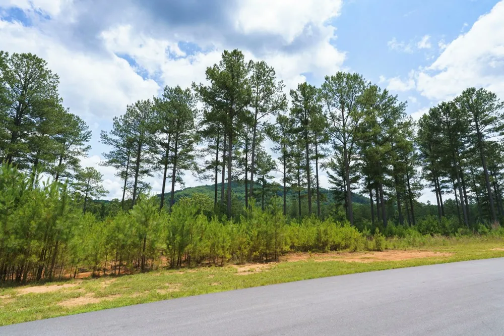 Lot 343 Loop Lane Blairsville, GA 30512