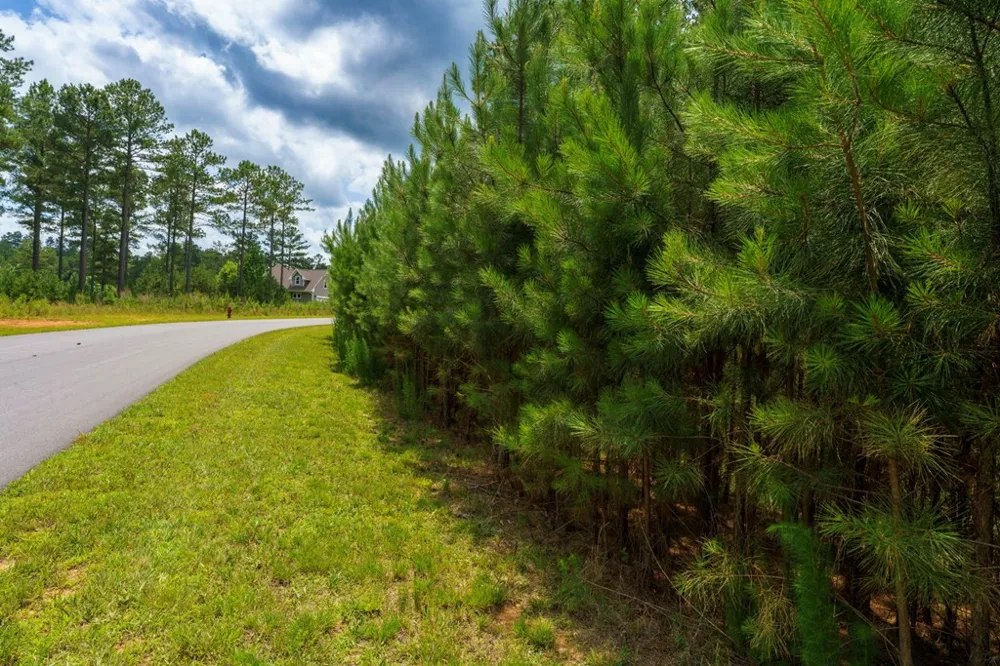 Lot 343 Loop Lane Blairsville, GA 30512