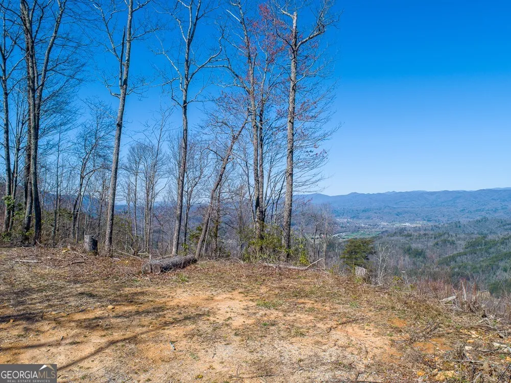 24 Cahill DR Andrews, NC 28901