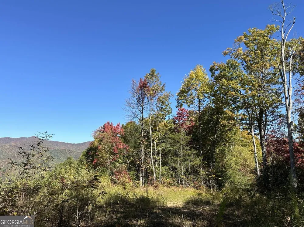 24 Cahill DR Andrews, NC 28901