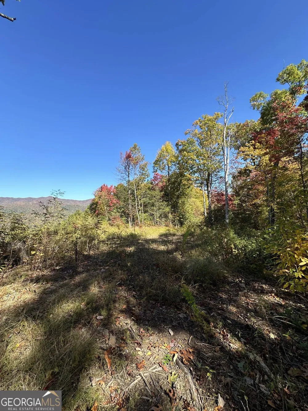 24 Cahill DR Andrews, NC 28901