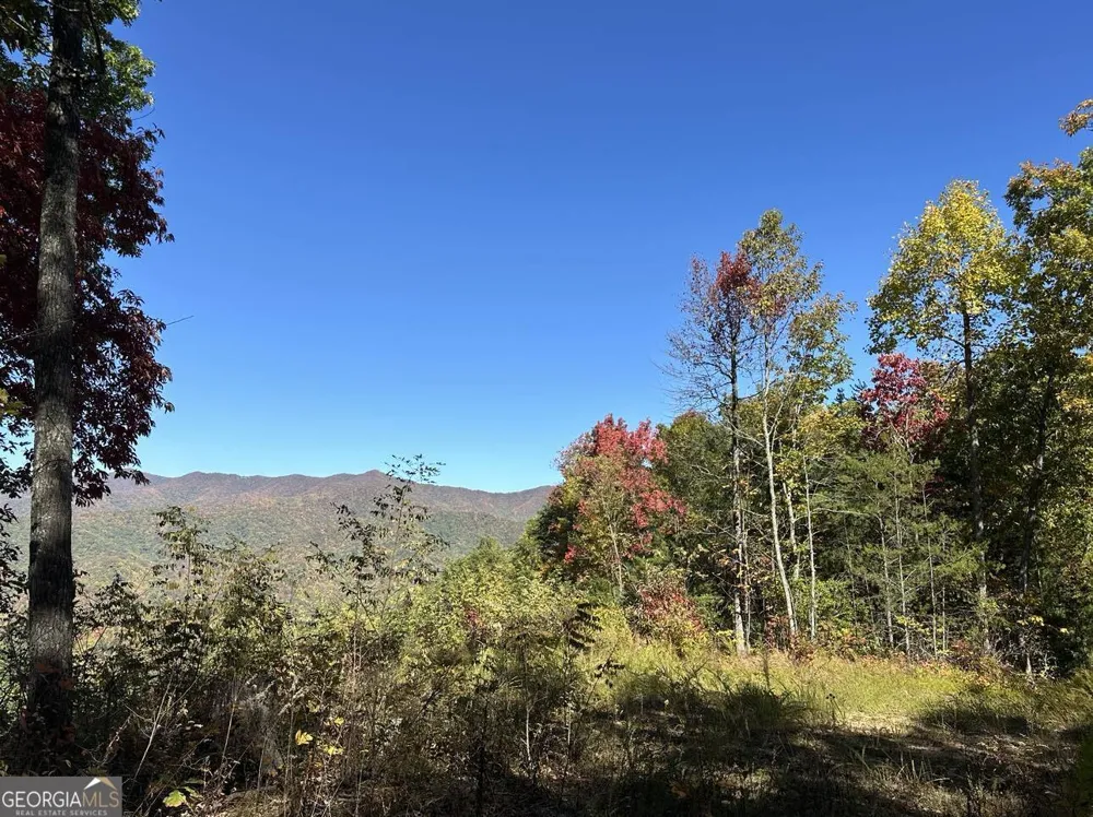 24 Cahill DR Andrews, NC 28901