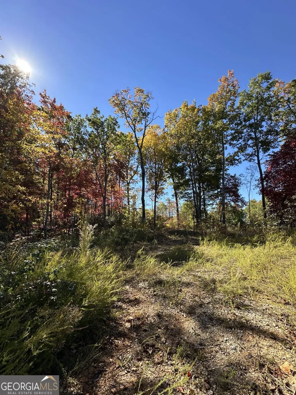24 Cahill DR Andrews, NC 28901