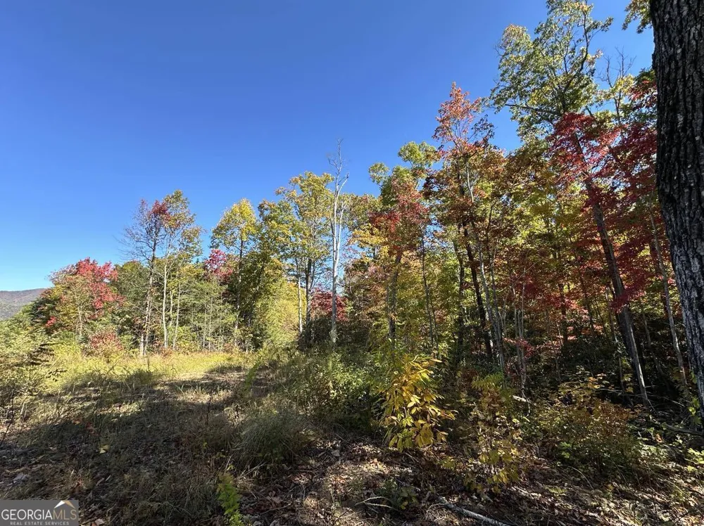 24 Cahill DR Andrews, NC 28901