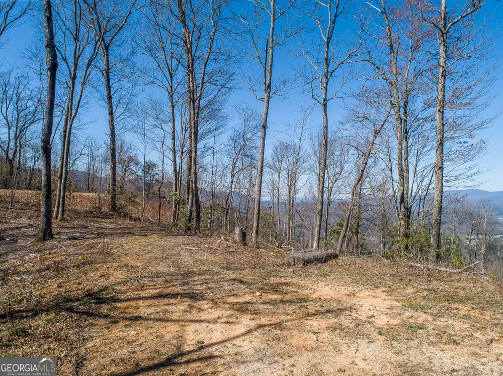 24 Cahill DR Andrews, NC 28901
