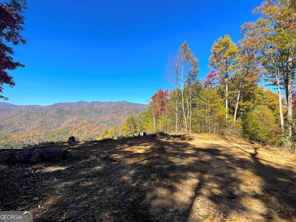 24 Cahill DR Andrews, NC 28901