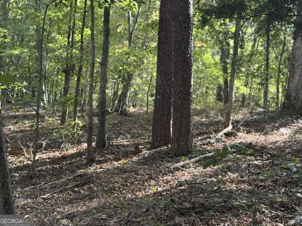 0 Cagle RD NE Fairmount, GA 30139