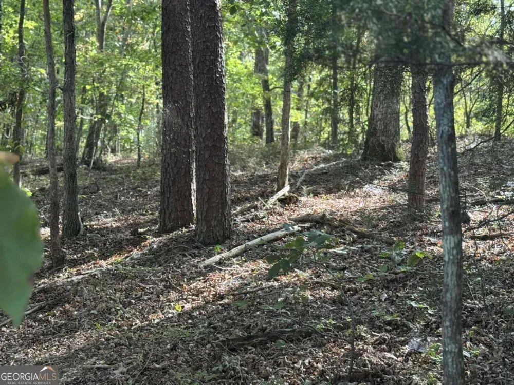 0 Cagle RD NE Fairmount, GA 30139